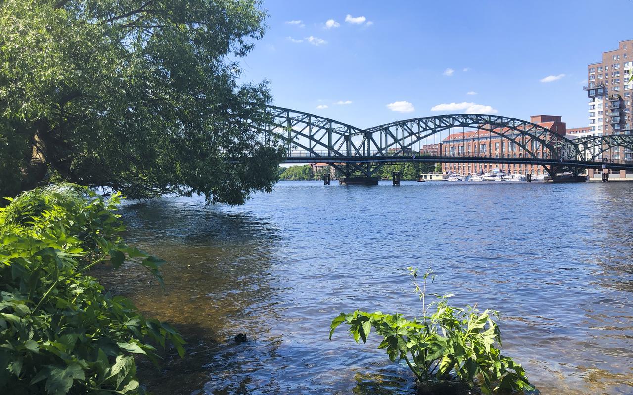 Park Penthouses Insel Eiswerder By Suite030 Berlino Esterno foto